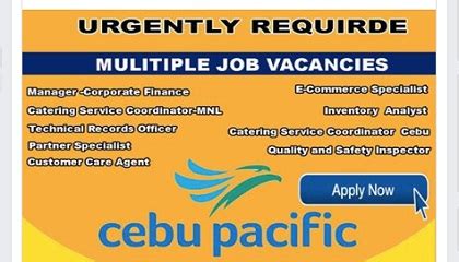 Cebu Pacific Careers: Job Opportunities for Everyone .